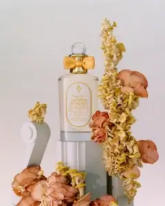 A stylish bottle of perfume adorned with a bow, surrounded by organic, colorful mushrooms against a soft backdrop.