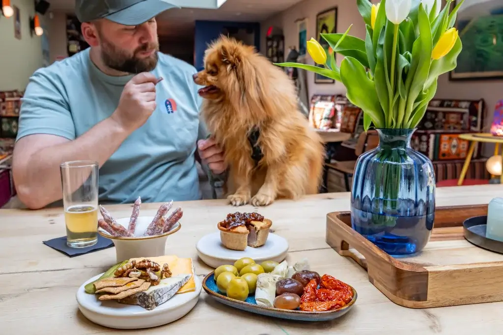 A fluffy Pomeranian sits on a table with an assortment of appetizers, while a glass of beer and a vase of tulips are nearby.