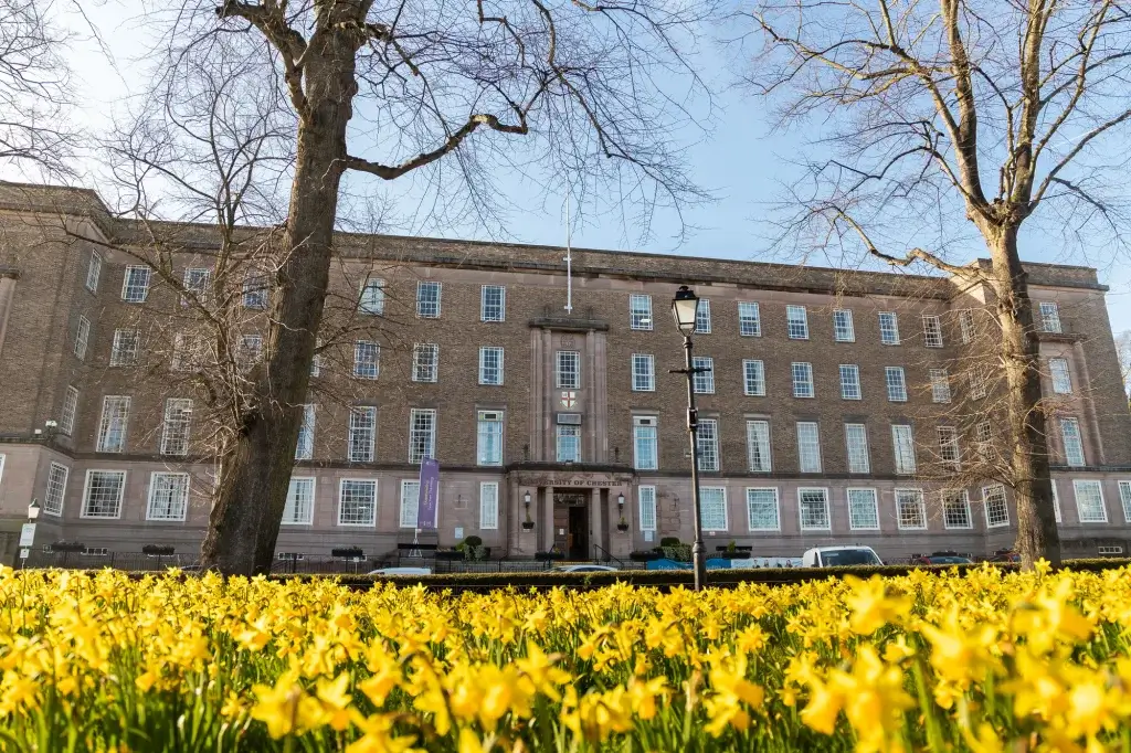 The University of Chester building with large windows, framed by bare trees and a vibrant field of yellow daffodils in the foreground.