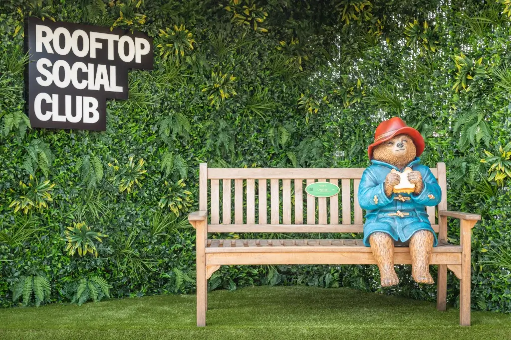 A bear statue in a blue coat and red hat sits on a bench, infant of a fake grass wall with a sign saying Rooftop Social Club