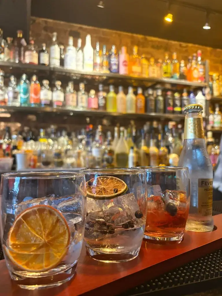 Three short cocktail glasses with ice, dried citrus slices and juniper berries on a bar counter, a tonic bottle at right.