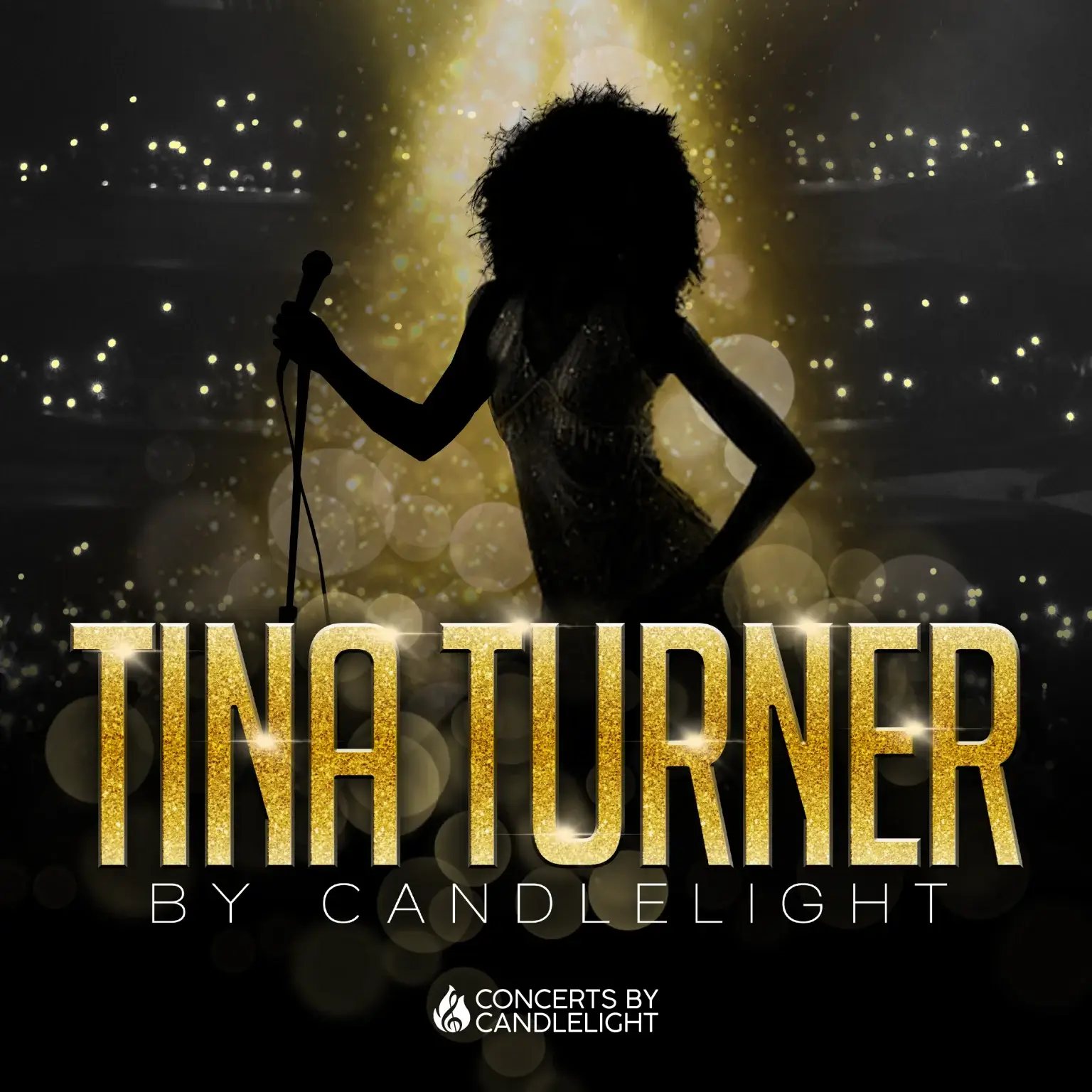 Tina Turner Chester Cathedral Concert by Candlelight