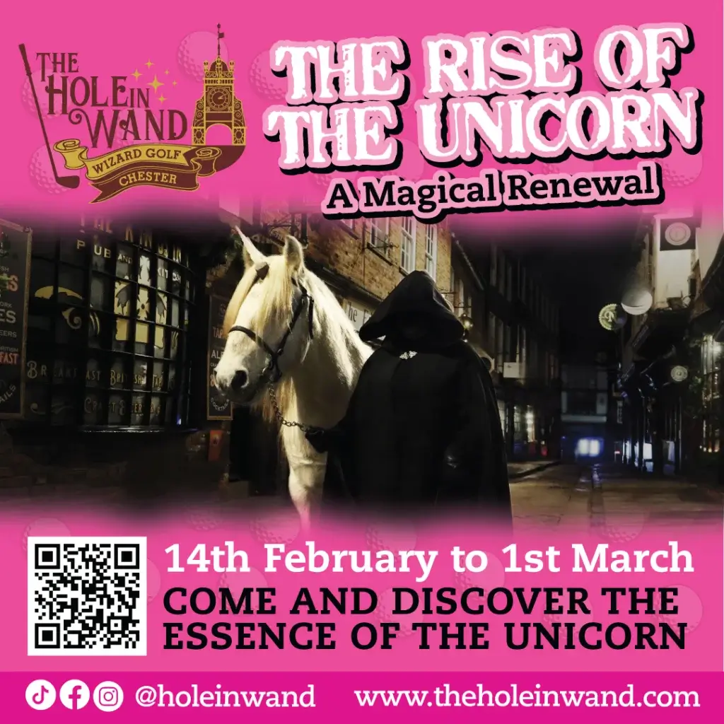 THE HOLE IN WAND CHESTER - RISE OF THE UNICORN
