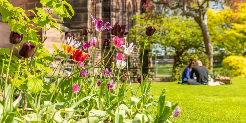 Colourful tulips in a sunny garden bed with two people picnicking on the lawn and a stone building in the background